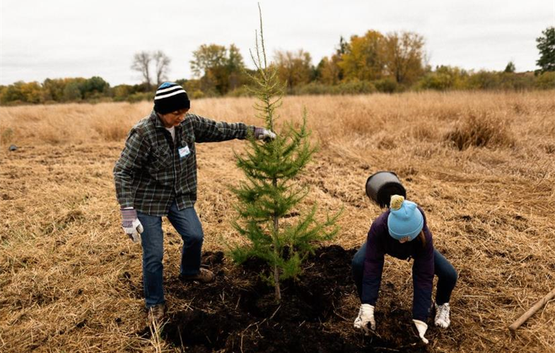 The Nature Conservancy Minnesota, one of the Mainstreaming grants for 2021, aims to transition Minnesota’s Eastern Broadleaf Forest to a climate-adapted ecotone through reforestation of 1 million acres by 2040.  Credit: The Nature Conservancy, Minnesota
